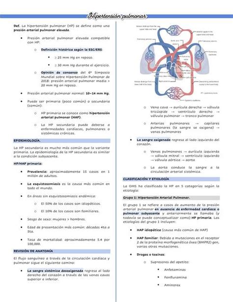 Hipertensi N Pulmonar Medical Studs Udocz