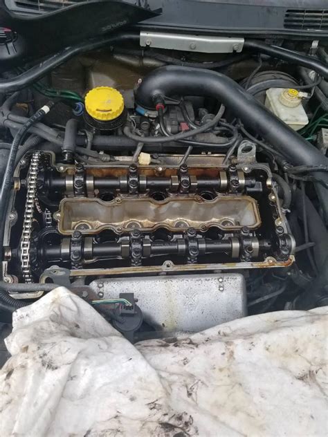 Swedish Amateur Topless Scrolller