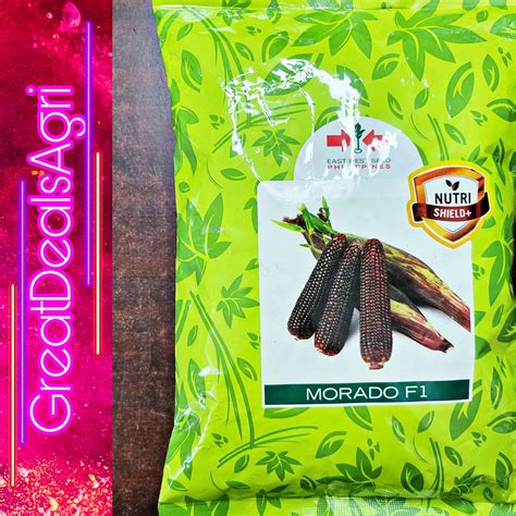 Morado F1 Hybrid Waxy Corn Seeds Kilo East West Seeds Lazada Ph