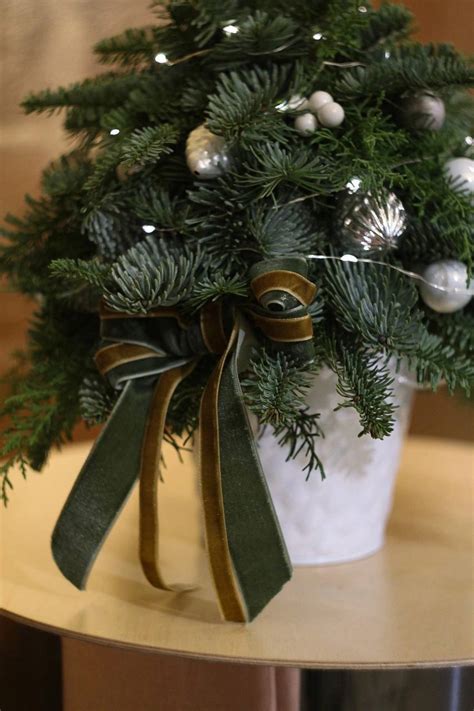 МК: Настольная елочка из разной хвои с огоньками - купить в СПБ с ...