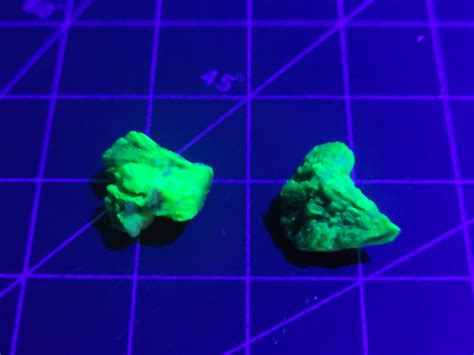 when wild animal is fed uranium ore 10