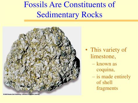 Ppt Sedimentary Rocks The Archives Of Earth History Powerpoint