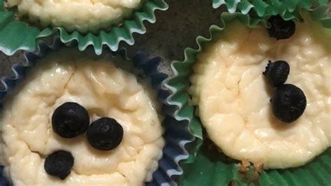 Keto Cheesecake Cupcakes Recipe Keto Cheesecake Cupcake Recipes