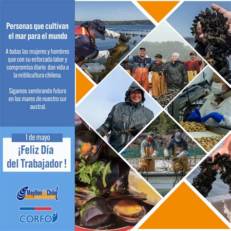 Un Saludo en el Día del Trabajador | Mejillón de Chile