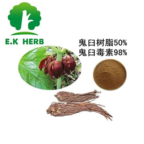 E K Herb Iso Halal Certified Podophyllin Extract Podofilina Cas