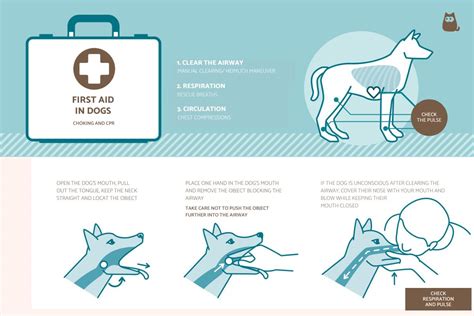 how to perform the heimlich maneuver on a dog