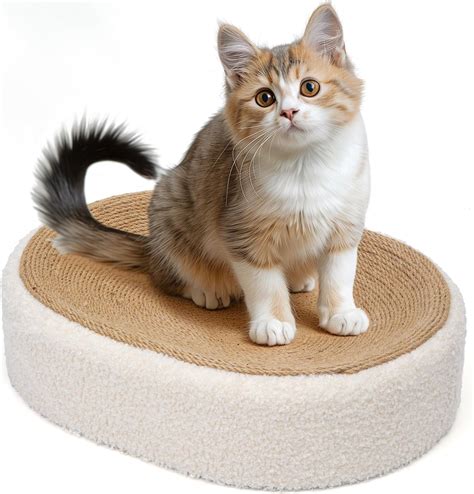 Amazon ComSaf Scratch Lounge Cat Bed Cat Scratcher Bed Oval