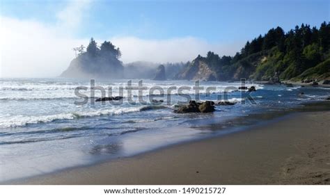 2408 Humboldt Beaches Stock Photos Images And Photography Shutterstock