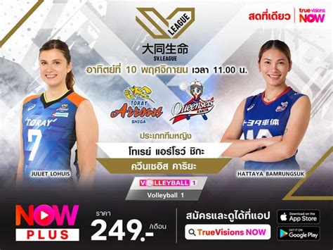 พรวว โทเรย แอรโรว ชกะ พบ ควนเซอส คารยะ