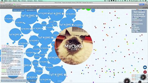 Чашка петри-Petri Dish игра лучше чем агарио ? - YouTube