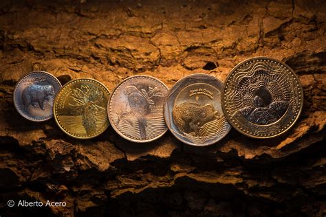 Monedas Colombianas (Colombian Coins) on Behance