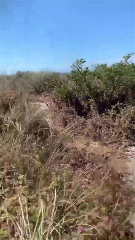 Guy At Nude Beach ThisVid