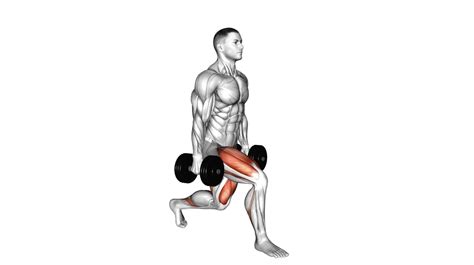 10 Gym Bench Exercises To Sculpt And Strengthen Your Body Workout Guru