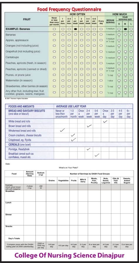 Food Frequency Questionnaire