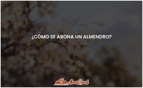 Gu A Para Abonar Un Almendro De Forma Efectiva Almarural