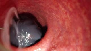 Internal Camera Bad Dragon Flint Fucks And Cums Deep In My Ass Lots Of Cum Xxx Mobile Porno