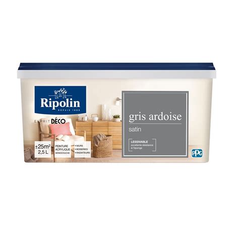 Peinture RIPOLIN Esprit Déco Satin Gris Ardoise 2 5L Bricorama