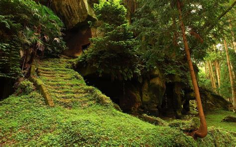 Beautiful Wallpapers and Images: Waterfall Jungle Wallpaper