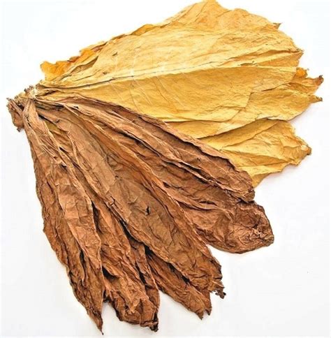 Субстрат натуральный для растений Virginia Red № 5 - Интернет-магазин