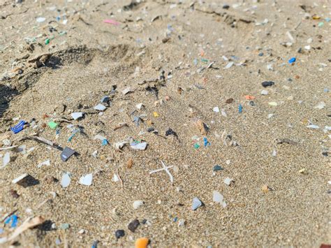 Where Can I Buy Microplastics at Alice Fisher blog 