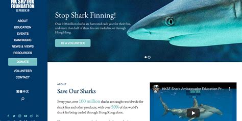 It S Here HKSF Launches New Revamped Website Hong Kong Shark