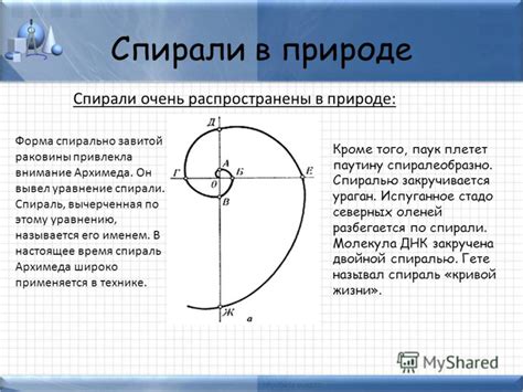 Презентация на тему: "Математика в природе Подготовил: Силин Александр ...