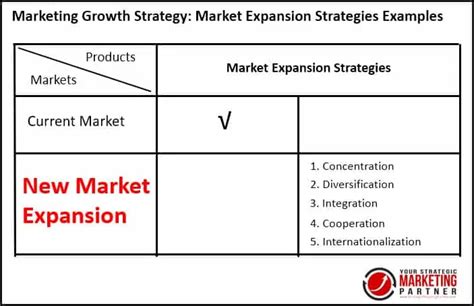 5 Market Expansion Strategies Examples