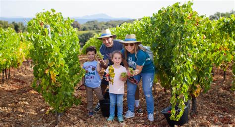 Confessions Of A Relocation Amateur Finding Beauty In Rough Edges