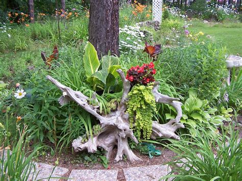 Perennial Passion Driftwood Redo Coastal Gardens Diy Garden Garden