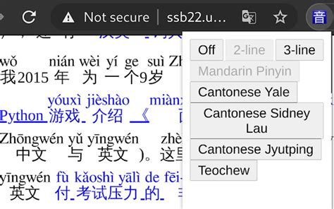 Pinyin Web for Google Chrome - Extension Download