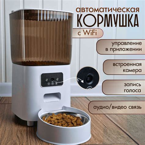 Автоматическая кормушка для кошек - купить с доставкой по выгодным ...