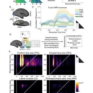 (PDF) Movement trajectories as a window into the dynamics of emerging ...