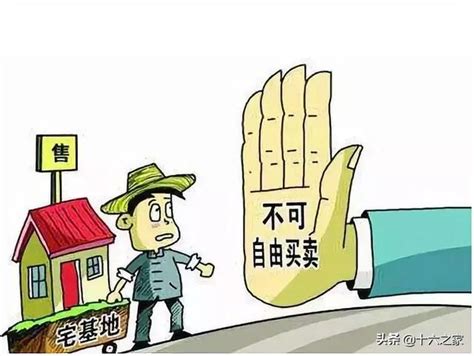 农村人有福了！官方发最新宅基地通知 每日头条