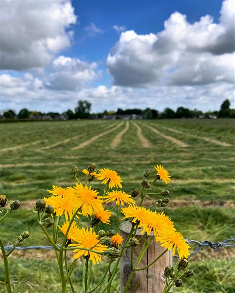 Scotcars - Scotcars added a new photo — in Wallingford,...