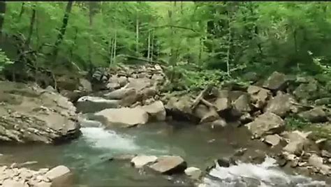 Dirty Talk In Hindi X Bangladeshi Celebrity Celebrity Porn Xhamster