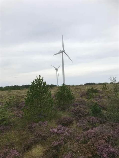 Vindkraft på lag med naturen og lokaldemokratiet Møre og Romsdal Venstre