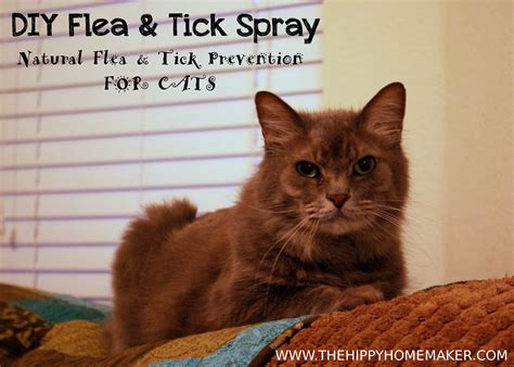 flea and tick spray for cats 2
