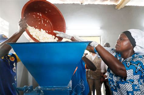 TRANSFORMATION DE MANIOC EN ATTIÉKÉ L UNITÉ SEMI INDUSTRIELLE DU