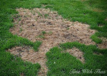 Pin on Garden Outdoor, Structures, Seeds, How To, Etc.