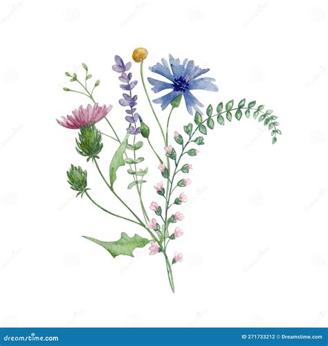 Watercolor Bouquet of Wildflowers Stock Vector - Illustration of ...