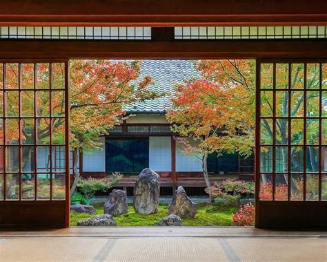 Holistic Sex Complete