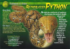 Reticulated Python Wierd Nwild Creatures Wiki