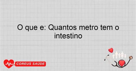 Quantos Metros Tem O Intestino Grosso De Um Adulto