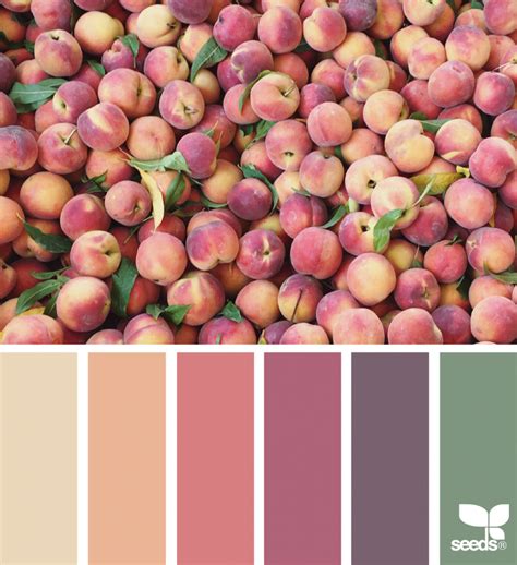 Fresh Hues In 2023 Color Palette Design Seeds Color Color Balance