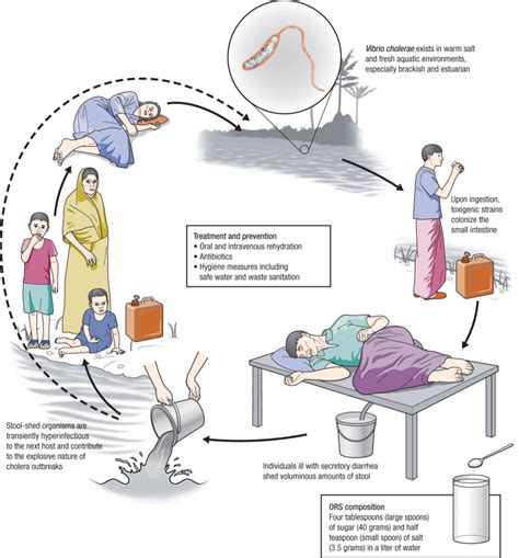 10 Health Tips To Take Against Cholera