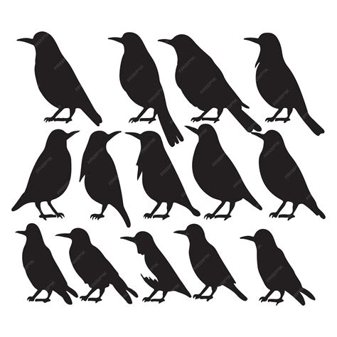 Premium Vector | This is a clean eyecatchy professional design suitable