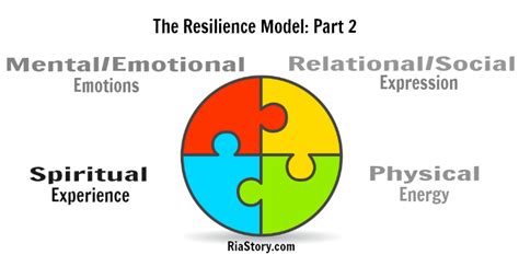 resilience model part  experience ria story leadership speaker