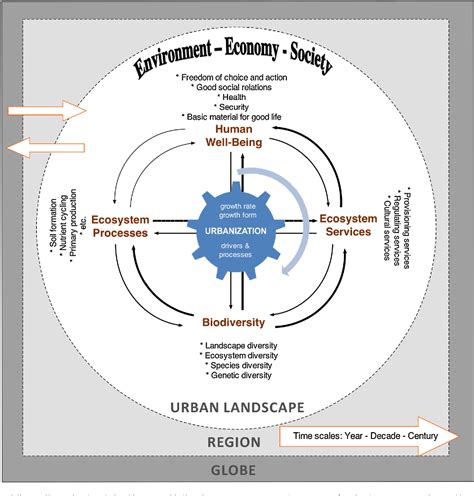 PDF Urban Ecology And Sustainability The State Of The Science And