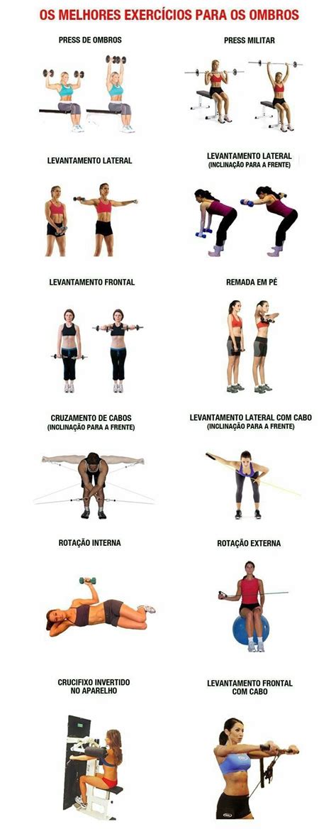 Exercício Para Os Braços - Exercícios para os braços femininos | Treino de peitoral, Planos de ...