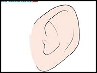 Draw Anime Ears And Manga Ears How To Draw Anime Ears Manga Ears